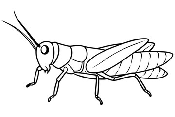 grasshopper line art silhouette vector illustration
