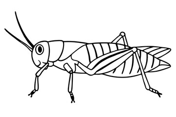 grasshopper line art silhouette vector illustration