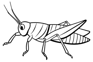 grasshopper line art silhouette vector illustration