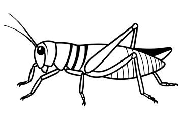 grasshopper line art silhouette vector illustration