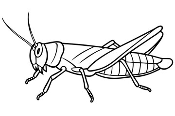grasshopper line art silhouette vector illustration