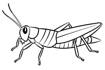 grasshopper line art silhouette vector illustration