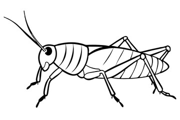 grasshopper line art silhouette vector illustration