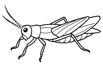 grasshopper line art silhouette vector illustration