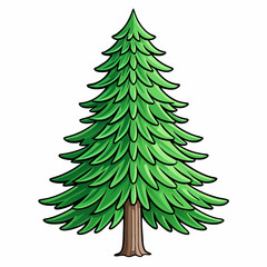 hemlock tree isolated on white