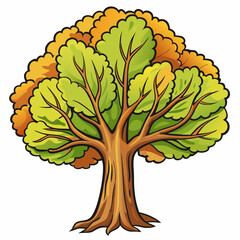 hickory tree vector