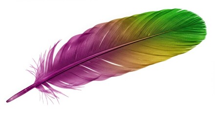 Vibrant Multicolored Feather, Colorful Bird Feather on White Background -  Gradient Pink Green Yellow Plumage