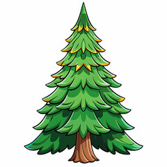 spruce tree on white