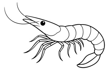 shirmp line art silhouette vector illustration