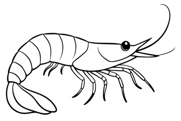 shirmp line art silhouette vector illustration