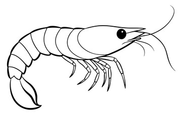 shirmp line art silhouette vector illustration