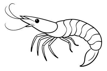 shirmp line art silhouette vector illustration