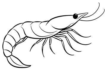 shirmp line art silhouette vector illustration