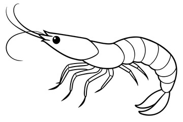 shirmp line art silhouette vector illustration