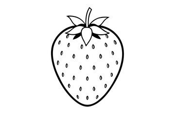 strawberry fruit line art silhouette vector illustration