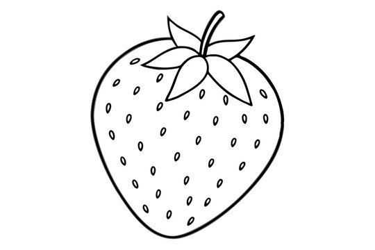 recommend clip art: strawberry fruit line art silhouette vector illustration