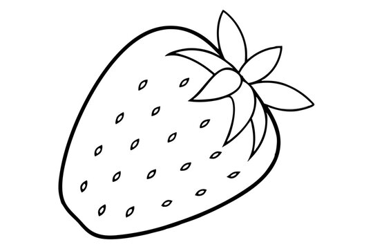 recommend clip art: strawberry fruit line art silhouette vector illustration
