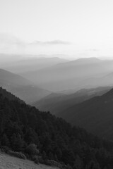 Naklejka premium Forest covered mountain range with haze and sunrays