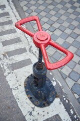 The fire hydrant is red on the street. The valve