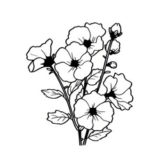 Hollyhock flower illustrated graphics drawing.