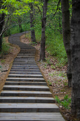 Various bridge buildings and urban roads