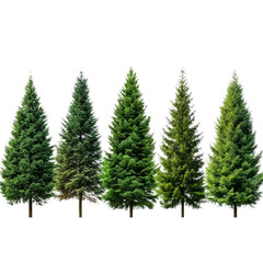 Row of trees covered in snow with a clear blue sky in the background during winter season