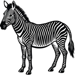 Adobe Illustrator ArtworkZebra illustration