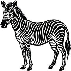 Fototapeta premium Adobe Illustrator ArtworkZebra illustration
