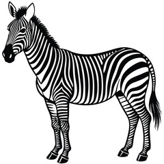 Adobe Illustrator ArtworkVector drawing of a zebra