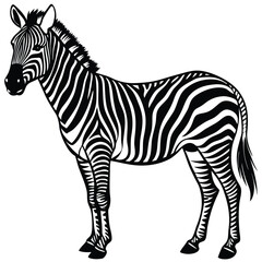 Adobe Illustrator ArtworkVector drawing of a zebra