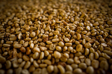 coffee beans background