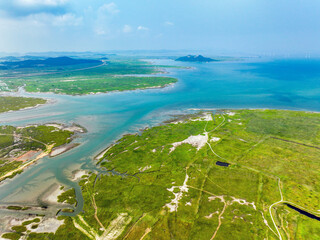 경기도 화성시 시화호 습지의 여름 풍경