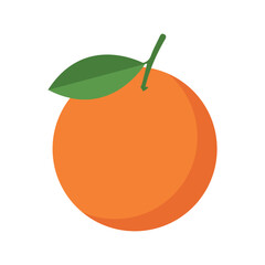 Orange vector icon , Orang fruit.