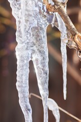 An ice floe in winter. Texture, natural formation