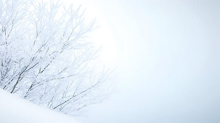 Snow-covered branches rise from a gentle winter slope, blending into a soft, white background. Ideal for seasonal decor, minimalist photography, and peaceful winter compositions. Selective focus