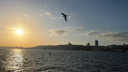 ISTANBUL, TURKEY. Panoramic view of Istanbul Bosphorus	
