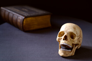 Artificial very realistic human skull on the table. Copy space. Dark background