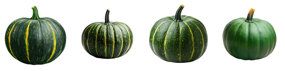 A collection of four ripe colorful pumpkins and squash in various shades of green yellow and striped patterns representing the bounty of the autumn harvest season