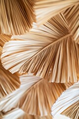 Close up view of several dried palm leaves in soft tones