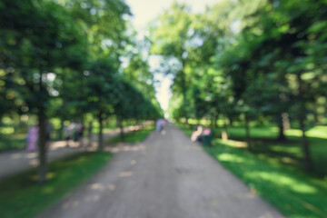 Blurred background green shady alley in the park in summer.