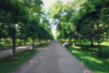 Blurred background green shady alley in the park in summer.