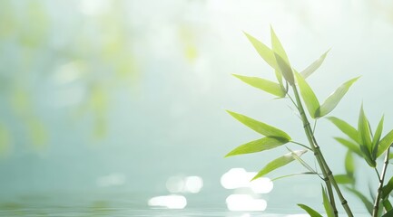 Fresh Green Bamboo Leaves with Sunlight Reflection Over a Tranquil Lake