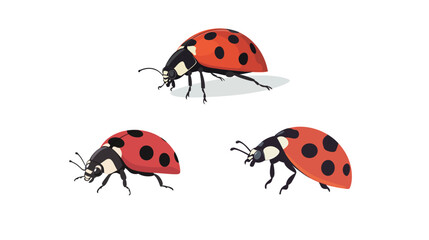 Naklejka premium Side Profile of a Ladybug – Vector Graphic
