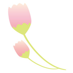 Pink bud