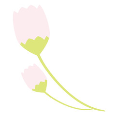 Pink bud
