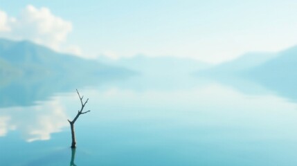Serene Waterscape A Single Dead Tree Stands Silently in the Stillness of a Calm Lake, Mirrored in the Tranquil Surface, Under a Soft, Pale Sky.