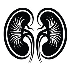 Naklejka premium Kidney Icon kidneys icon. solid icon A pair of human kidney organs with ureters flat vector icon for apps and websites