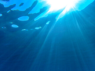 The sun shines through water, casting mottled light and shadow, intertwined with countless bubbles underwater, like a dance of light. Various aquatic plants sway gently in water in Mediterranean sea.