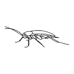 outline drawing of a cockroach