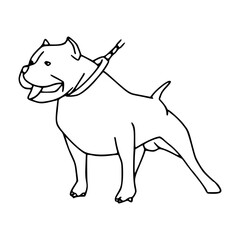 pit bull vector illustration
